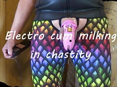 Electro cum milking in chastity