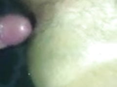 Bb close up