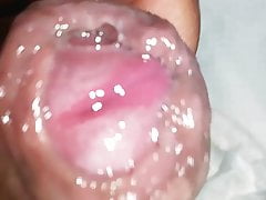 Indian uncut penis wet with precum 007
