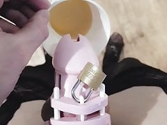 Asian Sissy Swallowing Own Pee In Chastity