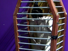 Caged boy wants his master to set him free and fuck him