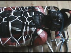 Immobilized bikerslave - 1