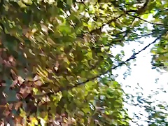 Sucking bear