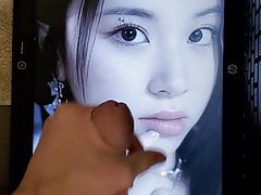 TWICE Chaeyoung Cum Tribute