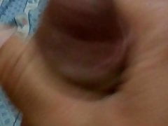 Para marlop
