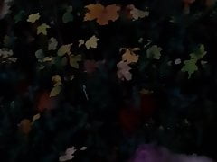 Outdoor autumn 2020