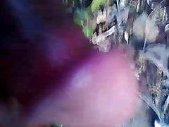 Desi Land video