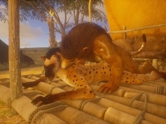 Intense same-sex encounter between a wild hyena and lion in their furry fur coats