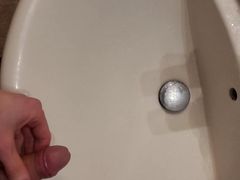 I Pee in the Sink