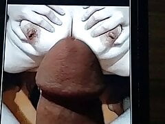 tribute to asian bigtits