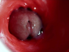 Closeup HD Sex Clips