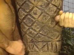 Hung Like A Mule Classic Videos