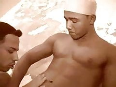 HOT ARABIAN NIGHT