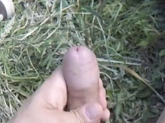 Gay, first-timer, domination & submission