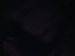 Paja