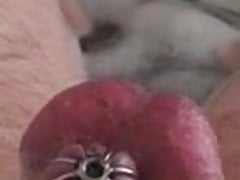 Caged cock