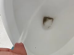 Bayer POV