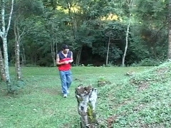 Big Cock Gays Have Hot Sex In Outdoors