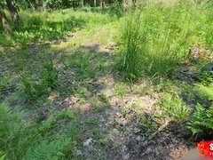 Nude tender foreskin ambling in the forest