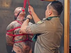 Jacked, jerk of, jerked off