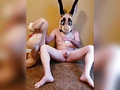 Texas Bunny Humps