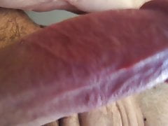Verga madura muy dura de robusta embergadura