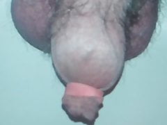 Foreskin piss