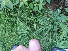 Bear cum in the nature