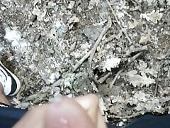 Cumshot outdoor in forest