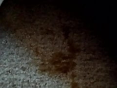 Pissing on my bedroom carpet