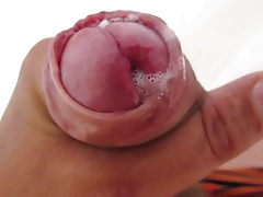kurac