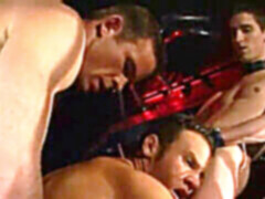 Blackb92, old muscle, medvěd