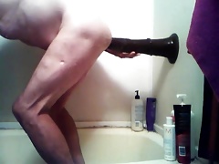 Just a little horseing around