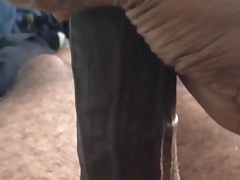 BBC Jerk off