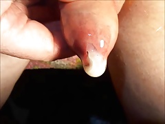 Cum 203