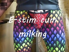 Estim cum milking