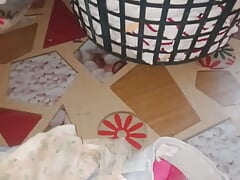 cum boardmates panty