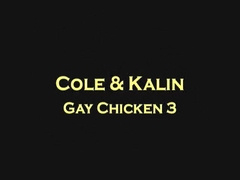 gay chicken