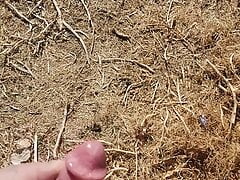 Outside piss & cum