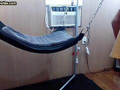 Real gloryhole DILF rimmed and fucked in sling by chubby gay