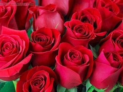 Hd videos, mature, gay porn