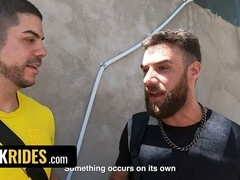 Hunkd, brazilian bears, car pov