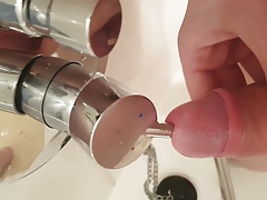 Penis Fick