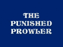 Punished Prowler