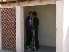 le fli sebaiser