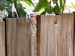 Neighbours clothes line