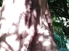 in my garden