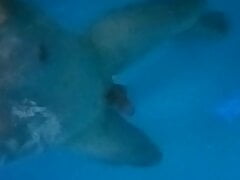 Naked in Pool show my hard Cock