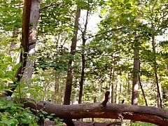 ... splitternackt im Wald !