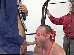 Seal cut homo romp vid Teamwork makes dreams come true